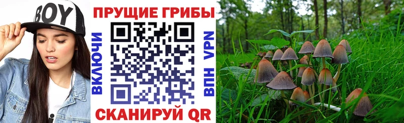Галлюциногенные грибы Magic Shrooms  Купить где  Воскресенск 